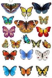 Набор водорастворимых картинок - Бабочки